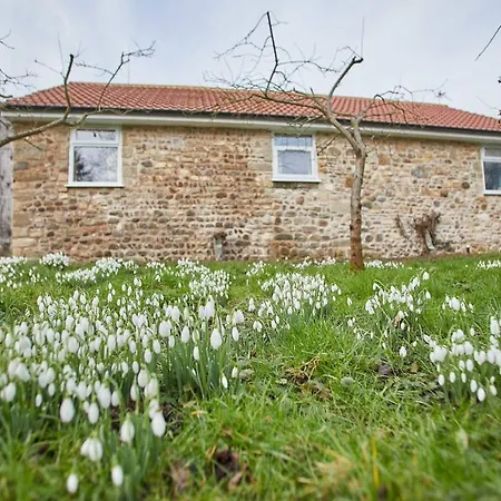 Host & - Snowdrop Feriehus *
